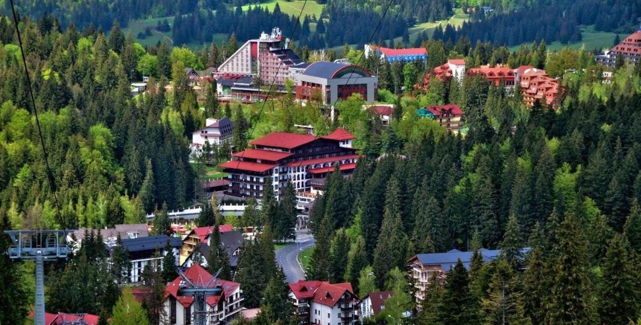 Апартаменти Garsoniera Delia Брашов Екстер'єр фото